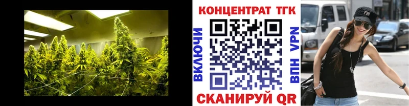 Купить закладки  Далматово  ТГК THC oil 