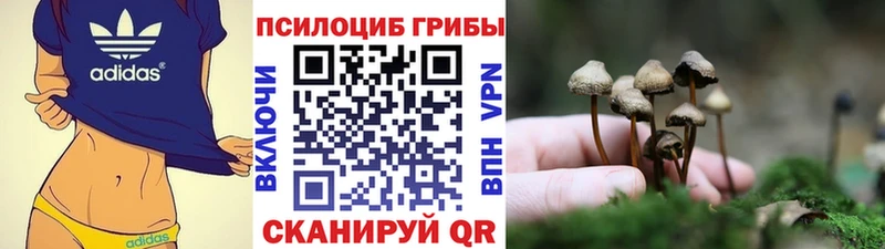 Галлюциногенные грибы GOLDEN TEACHER Купить где Далматово